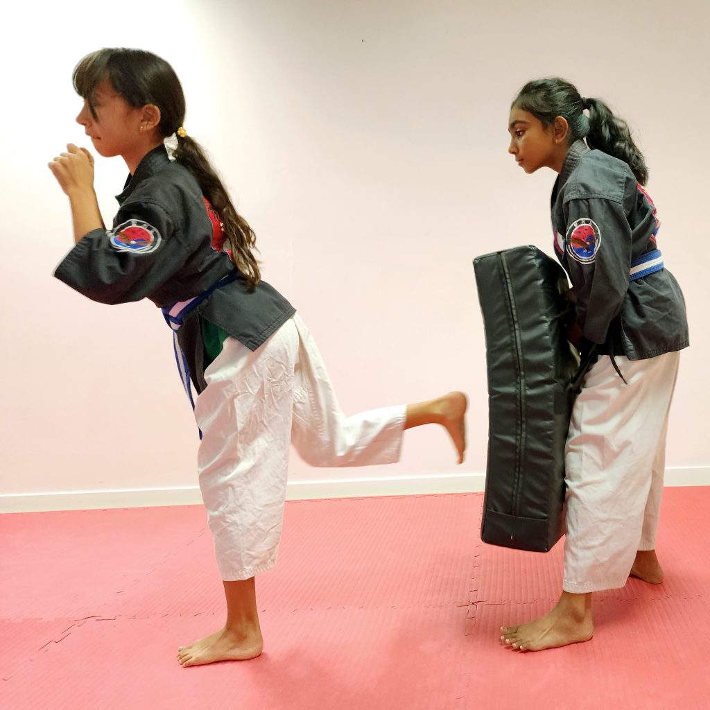 cost of martial arts lessons