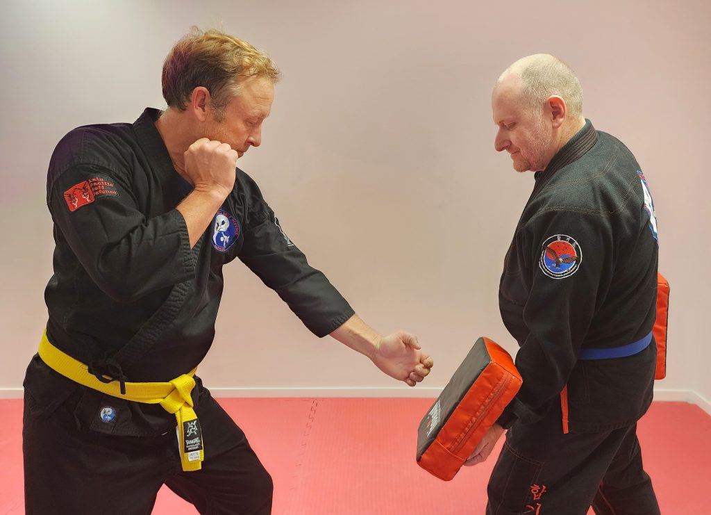 Adults Hapkido