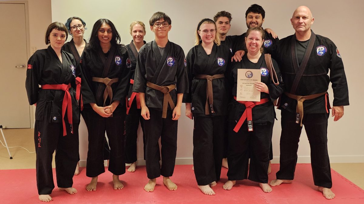 Adults Hapkido